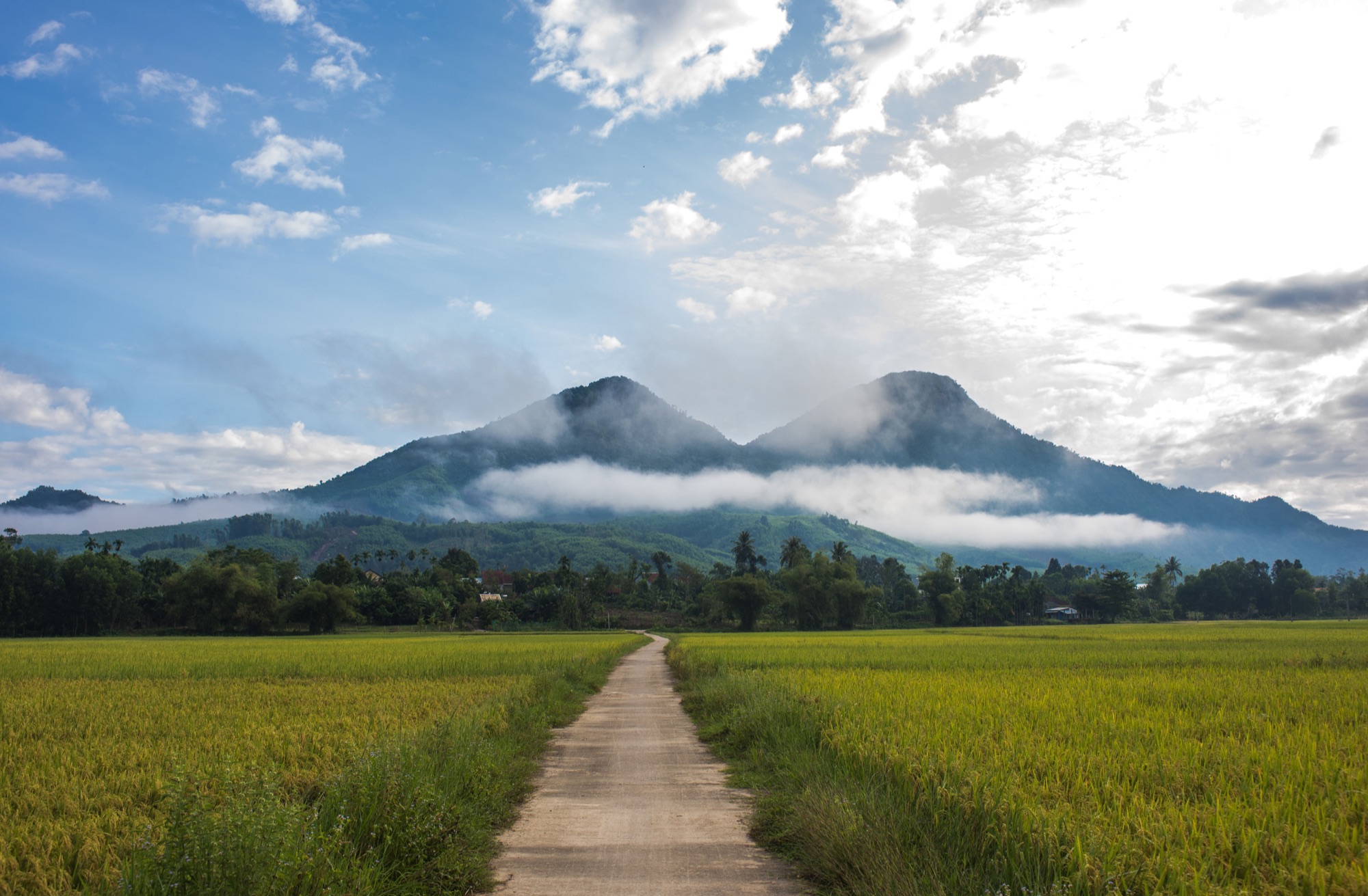 Chemin serpentant à travers le paysage laotien
