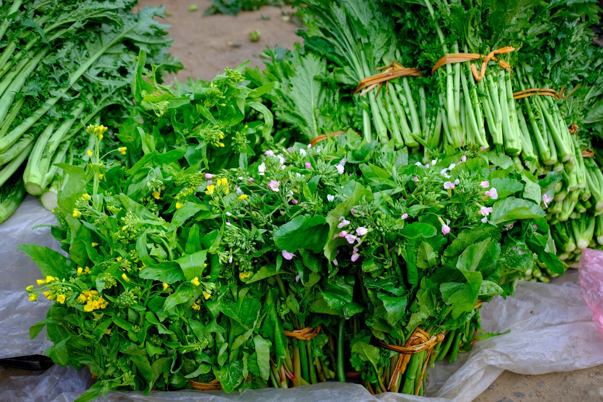 Légumes et ingrédients frais utilisés dans la cuisine laotienne